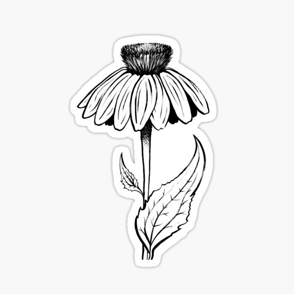 Echinacea Purpurea Sticker