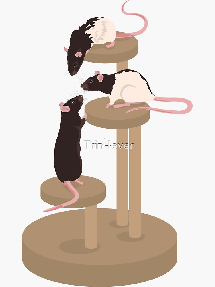 Climbing Ratties by Trin4ever