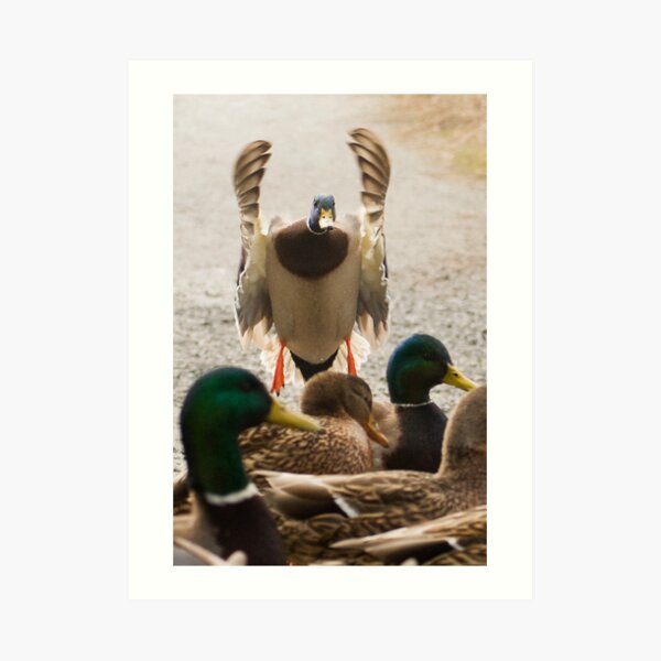 Move Along Art Print