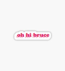 Oh Hi Bruce Sticker