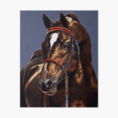 Stallion Art Board Print