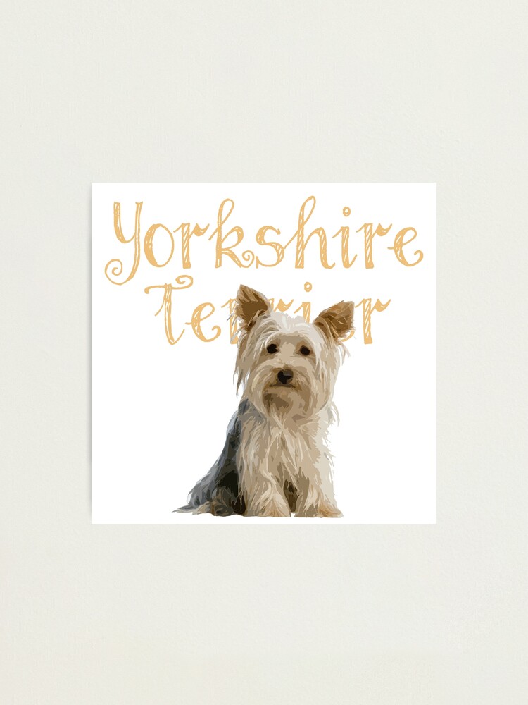 yorkie gifts for yorkie lovers