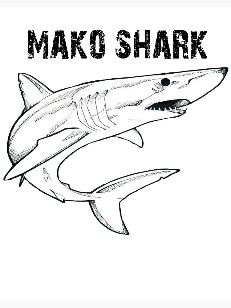 Mako Shark Coloring Page 25 Shark Coloring Pages: Free Printable
