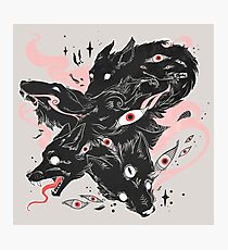 Wild Wolves With Many Eyes Photographic Print