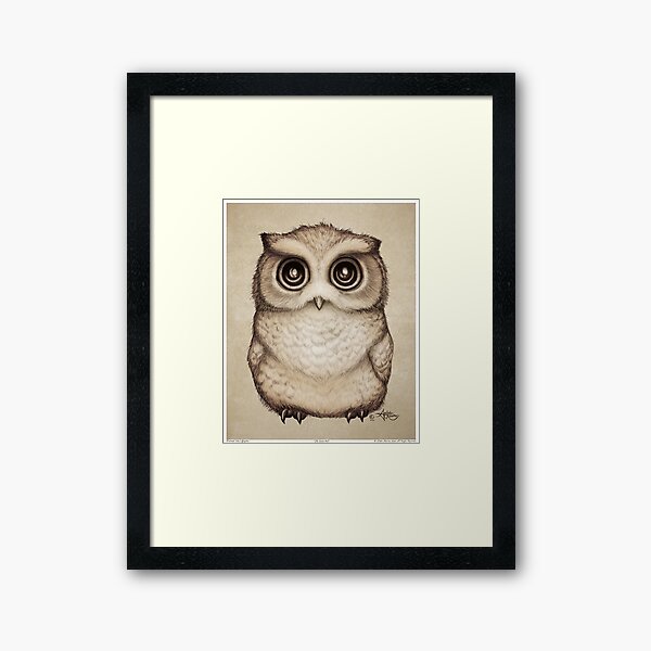 "The Little Owl" by Amber Marine, Pencil and Ink Illustration (Copyright 2016) Framed Art Print