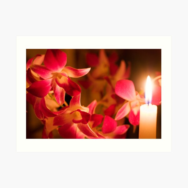 Orchids by Candlelight Art Print