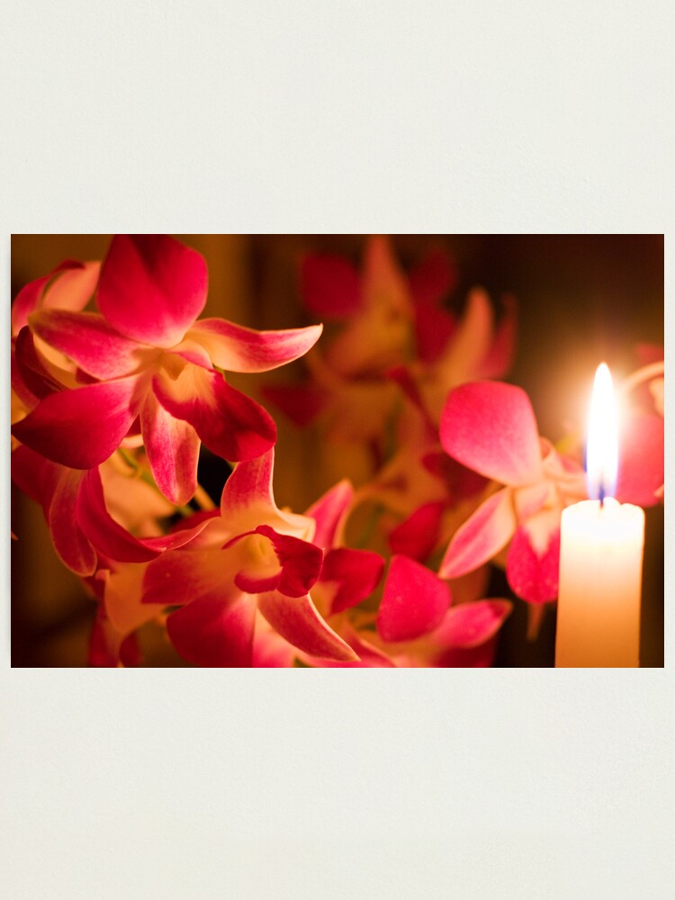Alternate view of Orchids by Candlelight Photographic Print