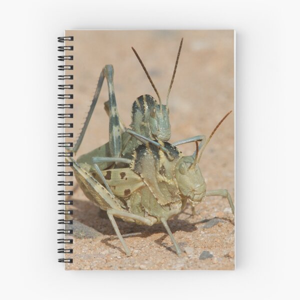 Item preview, Grasshopper Romance designed and sold by WorldDesign.