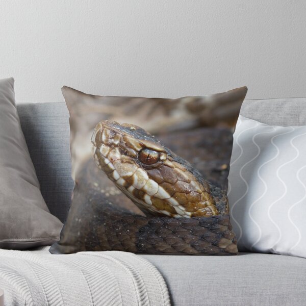 Item preview, Water Moccasin designed and sold by WorldDesign.