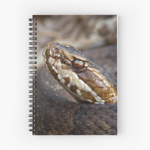 Item preview, Water Moccasin designed and sold by WorldDesign.