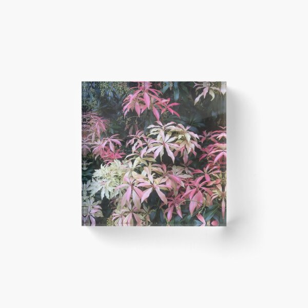 Item preview, Wiltshire foliage designed and sold by Rococo Dreams.