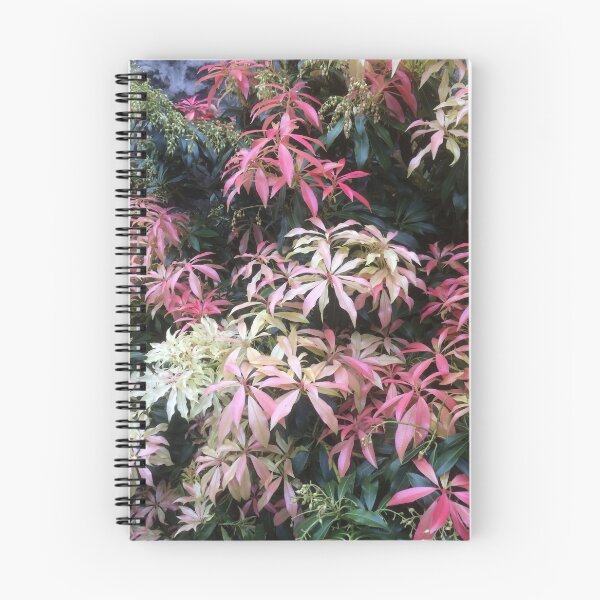 Item preview, Wiltshire foliage designed and sold by Rococo Dreams.