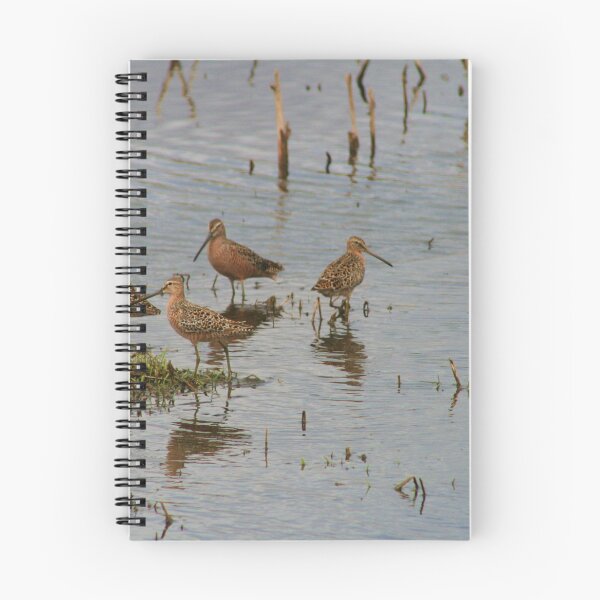 Item preview, shorebirds... designed and sold by RichImage.