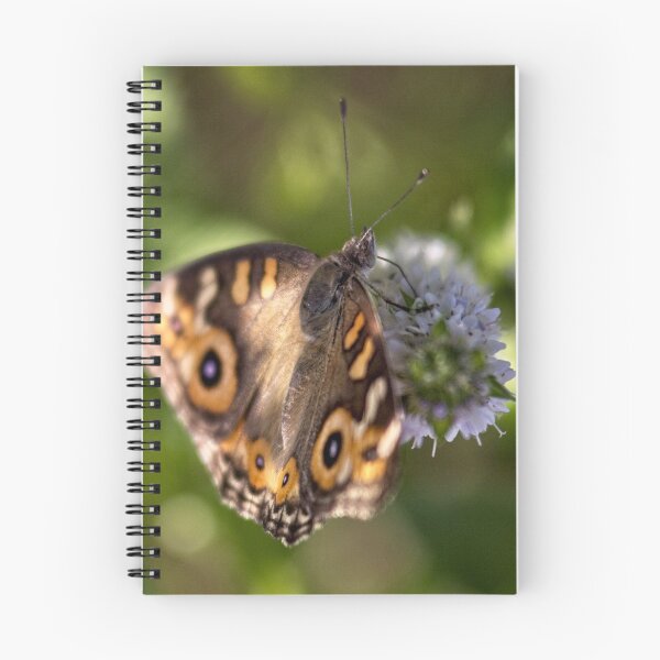 Item preview, Lost for 6 years in my archives (6) designed and sold by Wolf Sverak Photography.