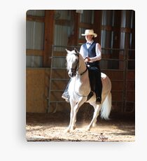 Paso Fino youth pleasure Canvas Print