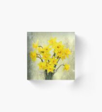 Narzissen im Frühling Acrylblock