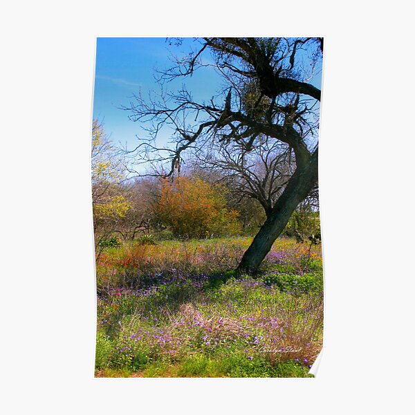 Perfect Picnic Spot Poster