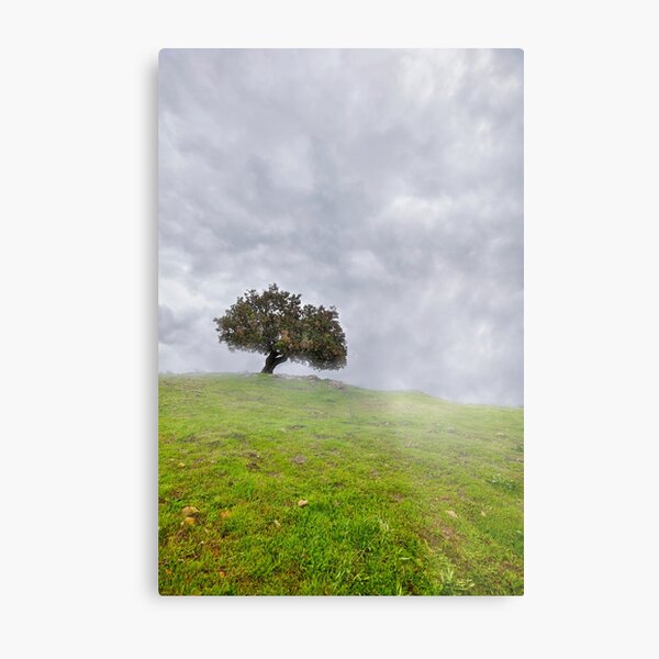 Cloudy Day Metal Print