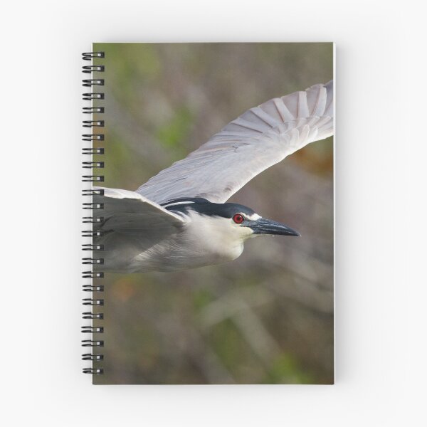 Aperçu de l'œuvre Night Heron créée et vendue par WorldDesign.