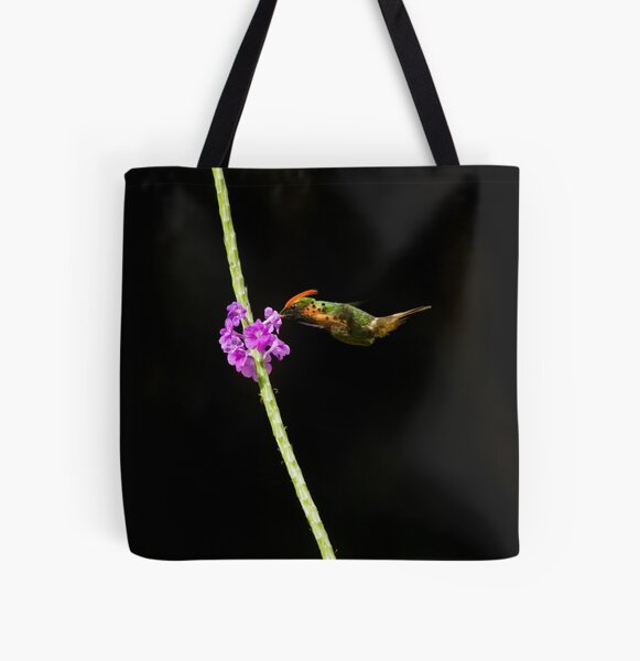 Coquette Tote Bag Roses Tote Bag Coquette Aesthetic Softcore Bag  Cottagecore Bag Feminine Tote Bag Coquette Clothing Romantic Tote Bag Lambs  