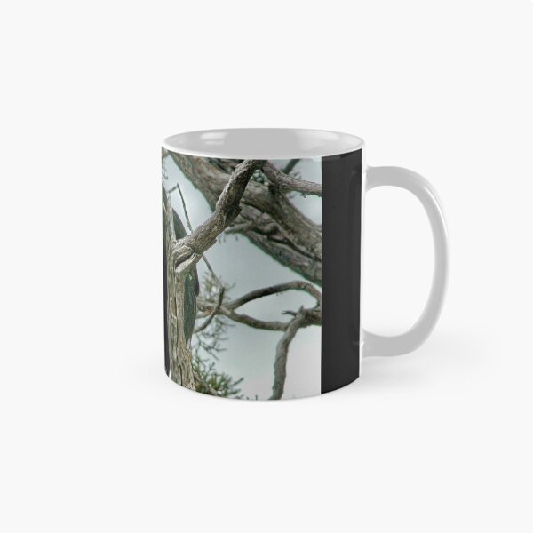 Item preview, Currawong at the Wombat Pool, Cradle Mountain, Tasmania, Australia. designed and sold by kaysharp.