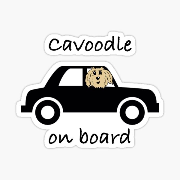 Item preview, Cavoodle on board designed and sold by OodleWear.