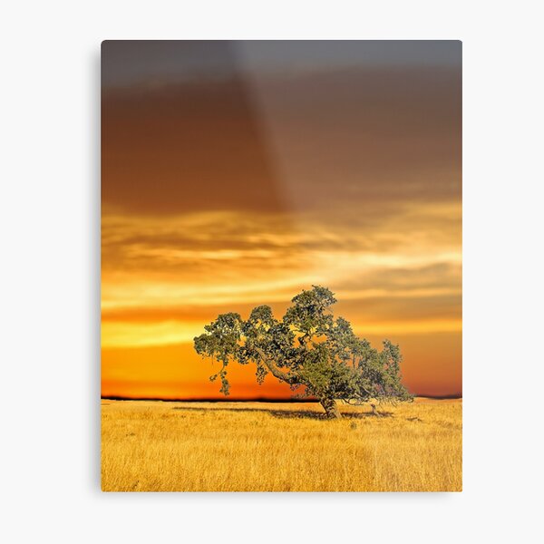 On fire Metal Print