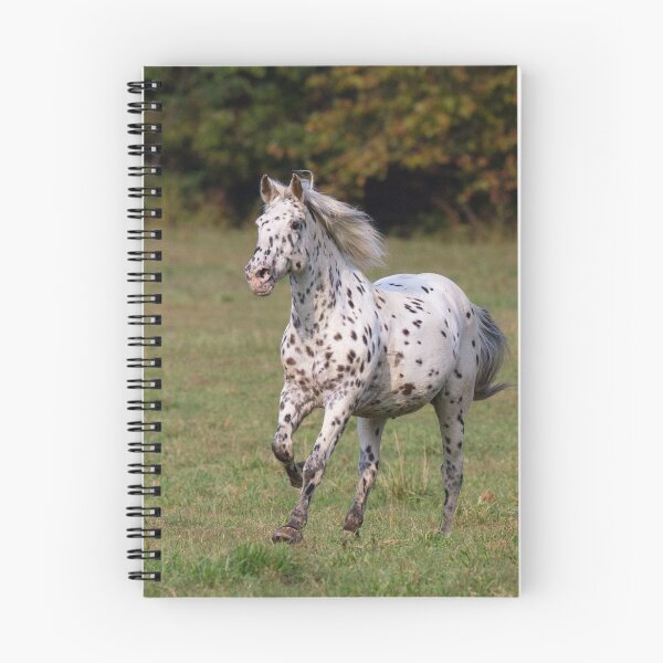 Item preview, Running Horse designed and sold by WorldDesign.