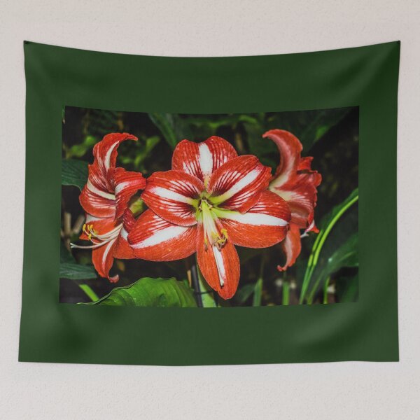 Item preview, Amaryllis flower designed and sold by Martin Leber.