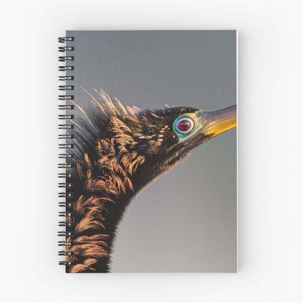 Item preview, Anhinga designed and sold by WorldDesign.
