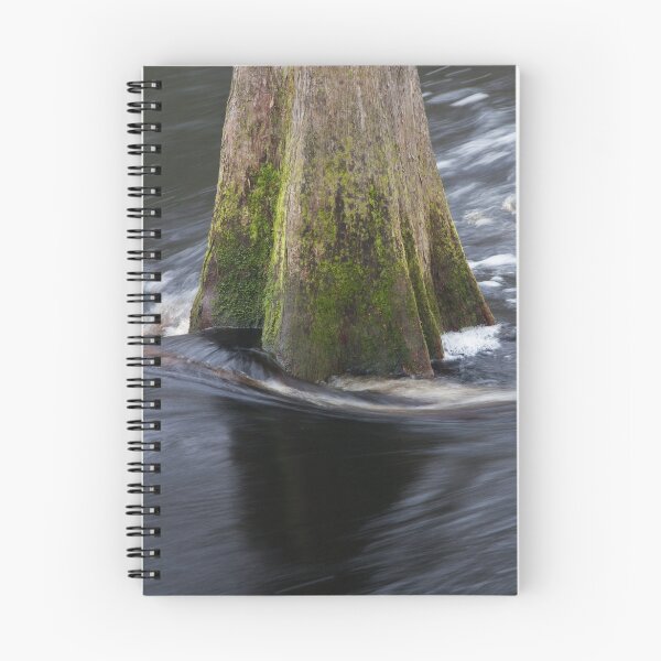 Item preview, Cypress Tree designed and sold by WorldDesign.