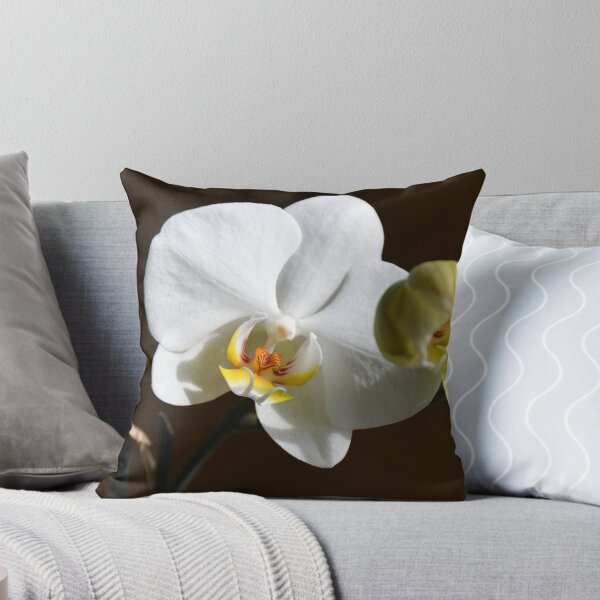 Item preview, White orchid (Phalaenopsis) designed and sold by walstraasart.