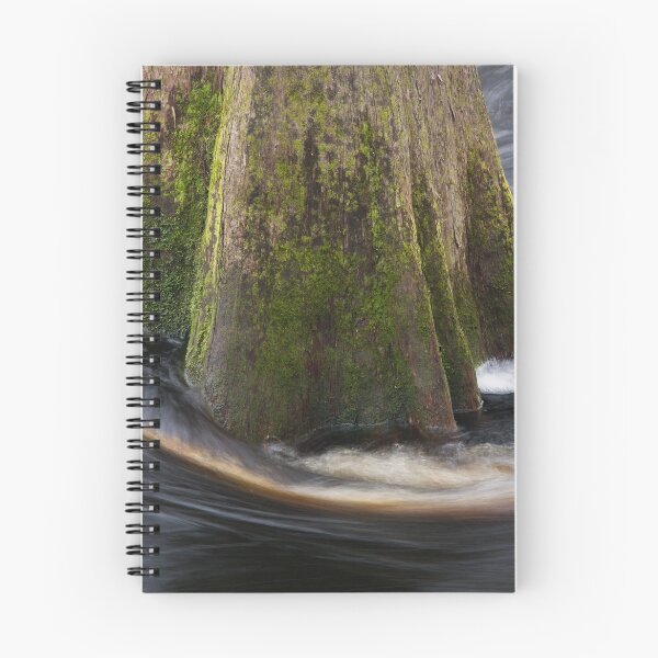 Item preview, Cypress Tree designed and sold by WorldDesign.