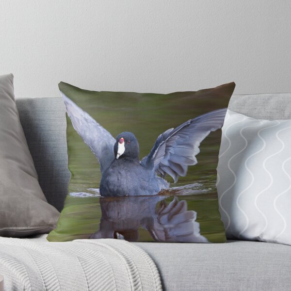 Item preview, Coot designed and sold by WorldDesign.