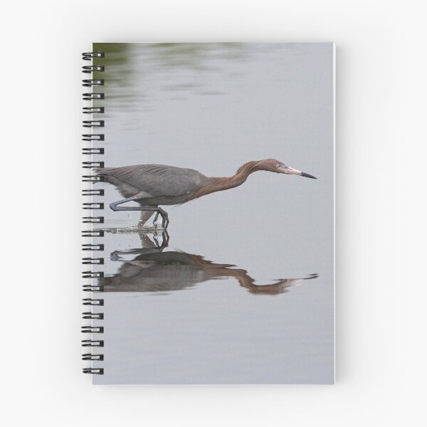 Item preview, Reddish Egret designed and sold by WorldDesign.