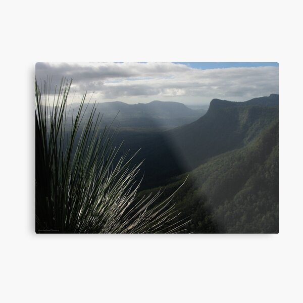 Blackbutts seen from The Pinnacle Metal Print