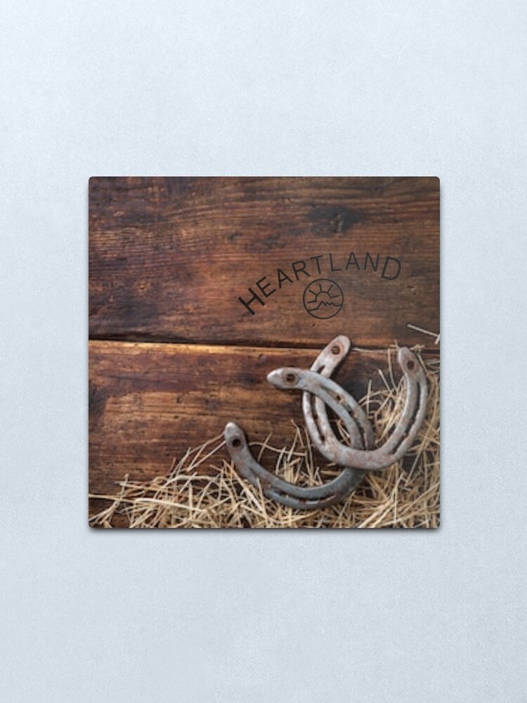 Alternate view of Rustic HL Metal Print