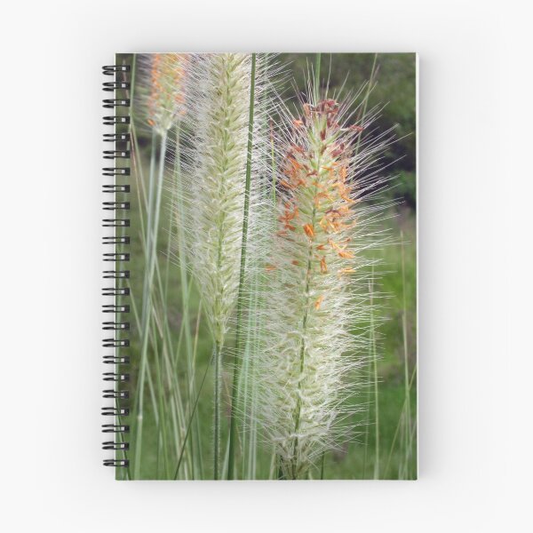 Item preview, Amazing colourful Grass Flowers designed and sold by sunrisecoast.