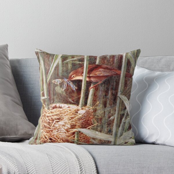 Item preview, Nesting Reed Warbler Illustration designed and sold by goldenmenagerie.