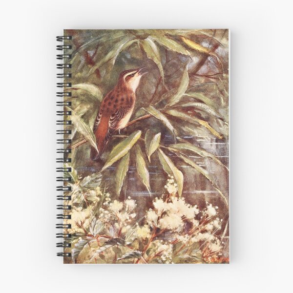 Item preview, Beautiful Sedge Warbler Art designed and sold by goldenmenagerie.