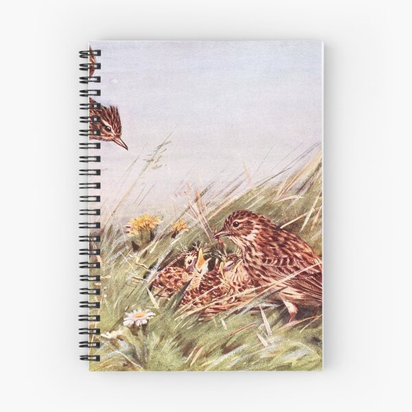 Item preview, Skylarks In Field Scene designed and sold by goldenmenagerie.