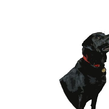 Artwork thumbnail, Adoration from a Black Labrador dog by Alternative Perspectives
