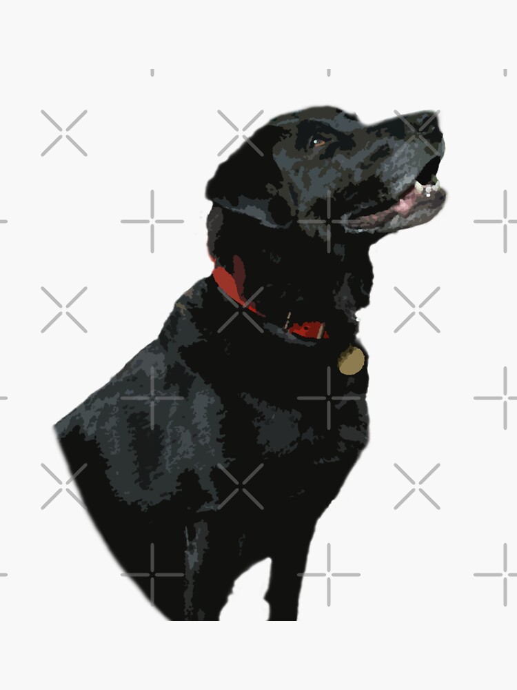 Thumbnail 3 of 3, Sticker, Adoration from a Black Labrador dog designed and sold by SiobhanFraser.