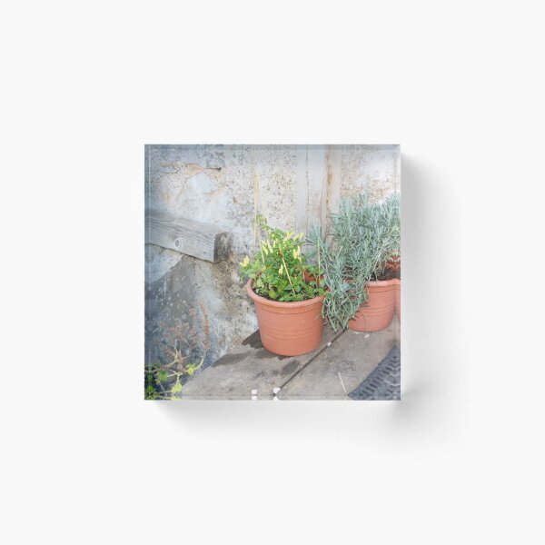 Item preview, Herbs and Pots Against A Stone Wall  designed and sold by Niina  Niskanen.