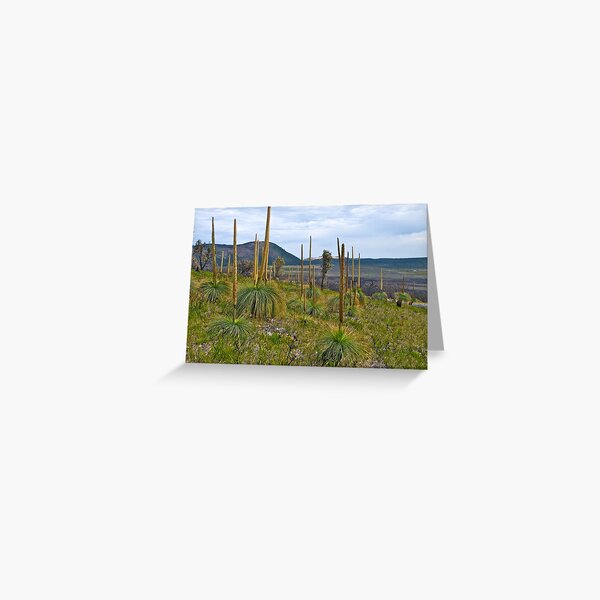 Item preview, Rebirth; after the bushfires, Wilsons Promontory designed and sold by johnrf.