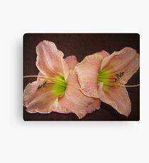 Two Peach Daylilies. Canvas Print
