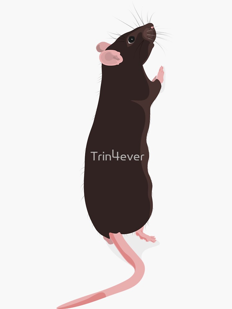 Standing rattie by Trin4ever