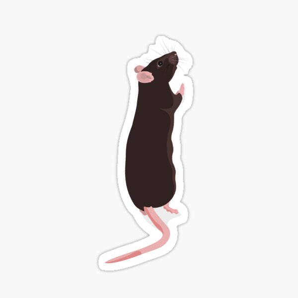 Standing rattie Sticker