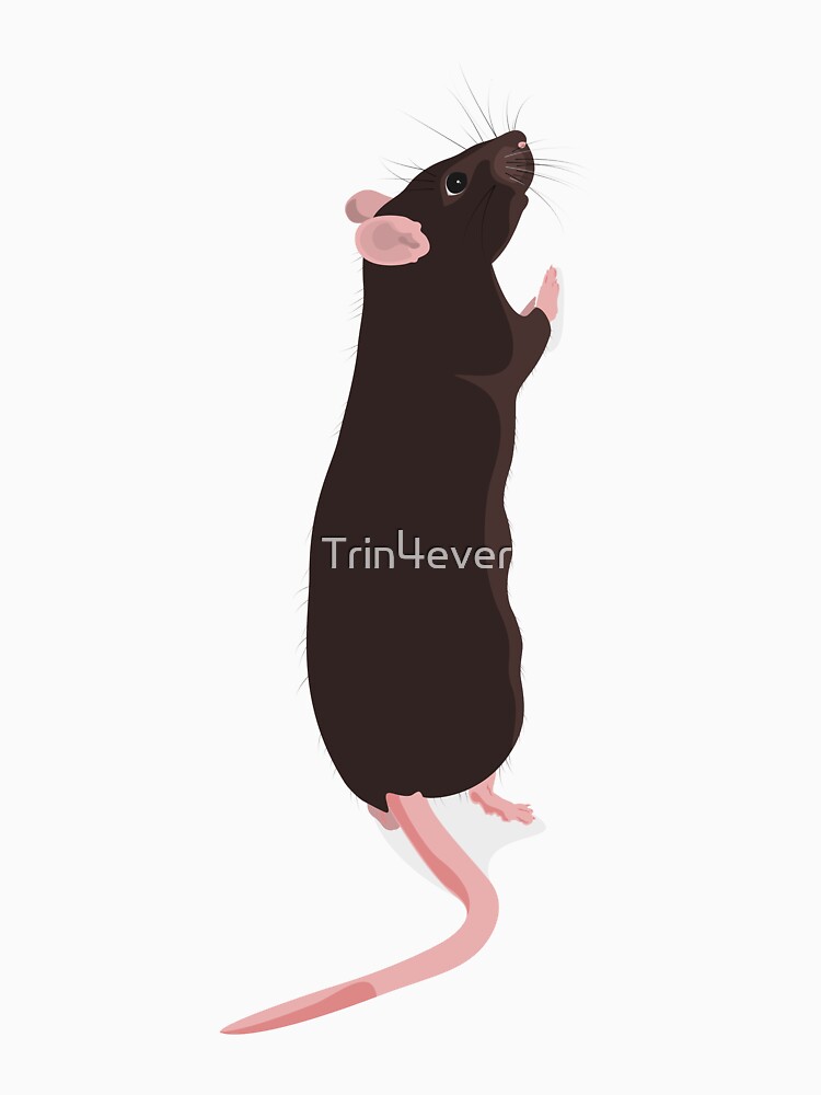 Standing rattie by Trin4ever