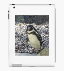 Penguin iPad Case/Skin